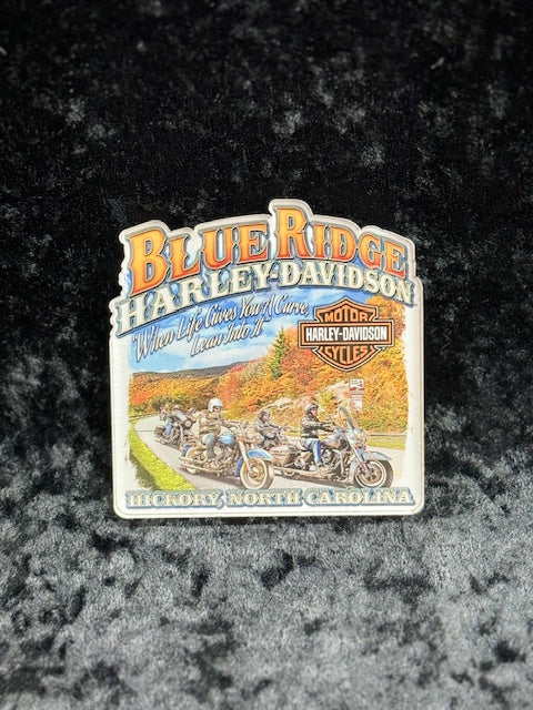 Magnet