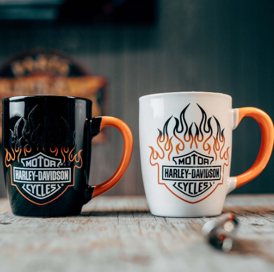 B&S Flame Color Change Mugs