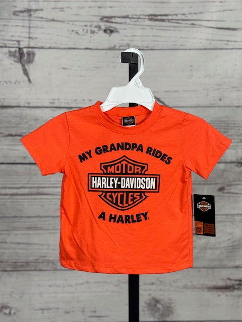 Little Boys' My Grandpa Rides a Harley T-shirt