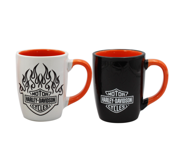 B&S Flame Color Change Mugs