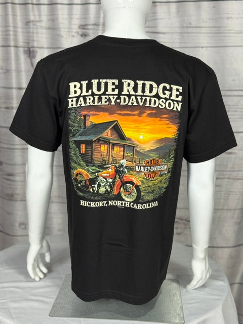 Upwing Eagle T-shirt