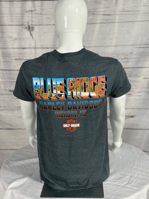 Blue Ridge Men's Dark Grey T-Shirt