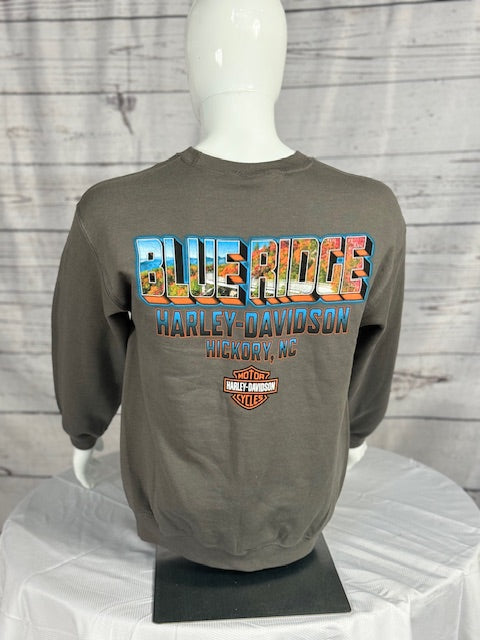 Blue Ridge Men's Charcoal Pullover Sweatshirt