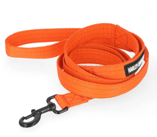 Nylon Dog Leash- Orange