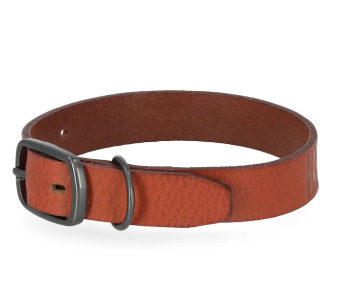 Leather Dog Collar- Cognac