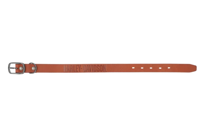 Leather Dog Collar- Cognac