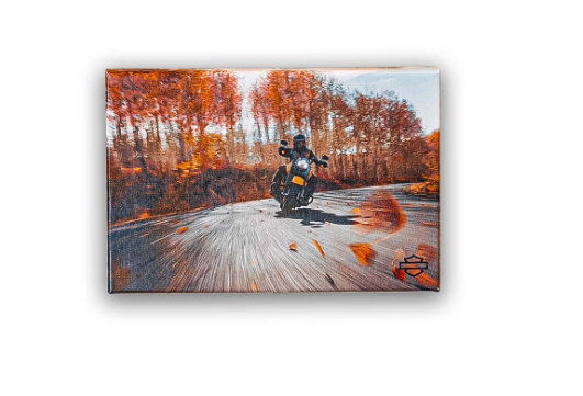 H-D Road King Canvas
