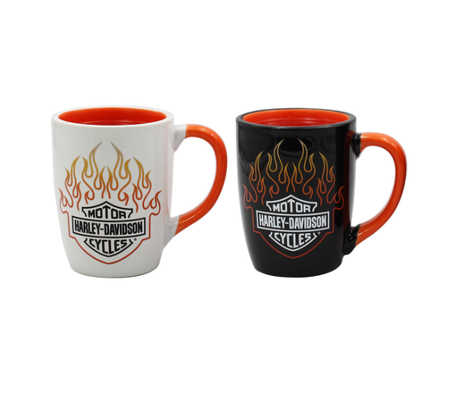 B&S Flame Color Change Mugs